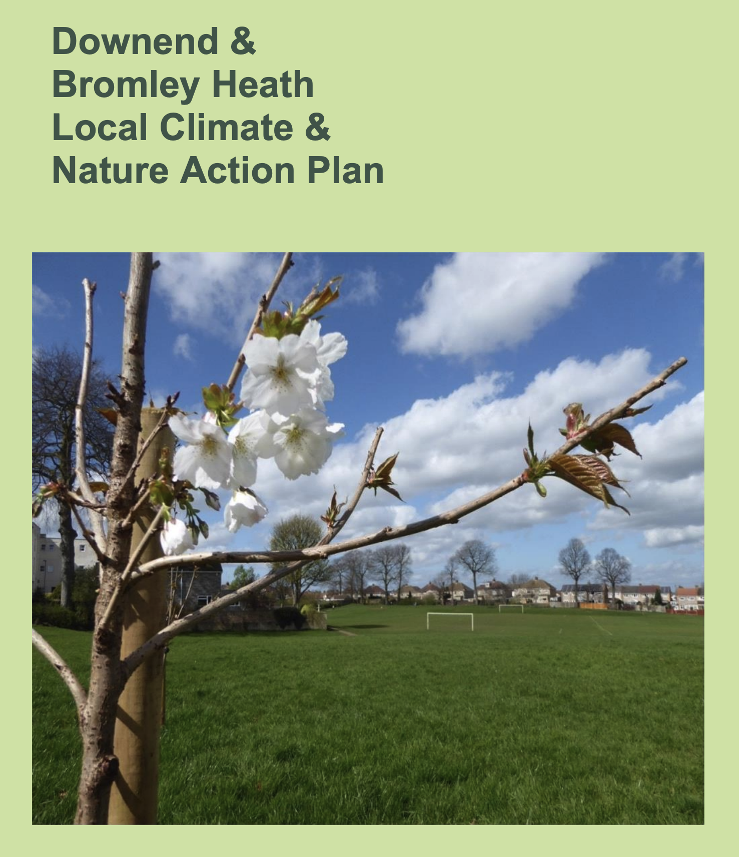 Image of local climate and nature action plan cover