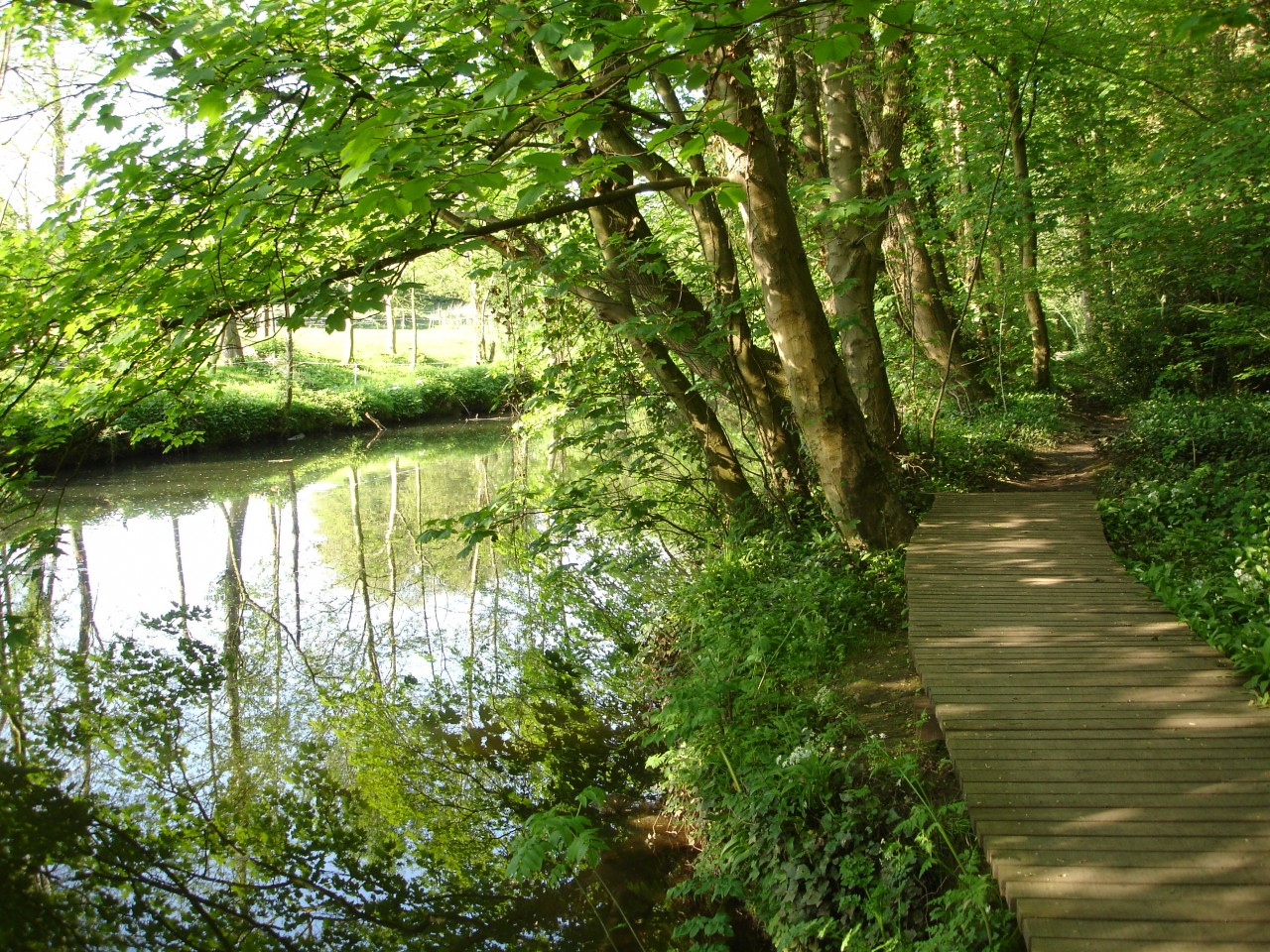 The foot path and boardwalk along side the river.