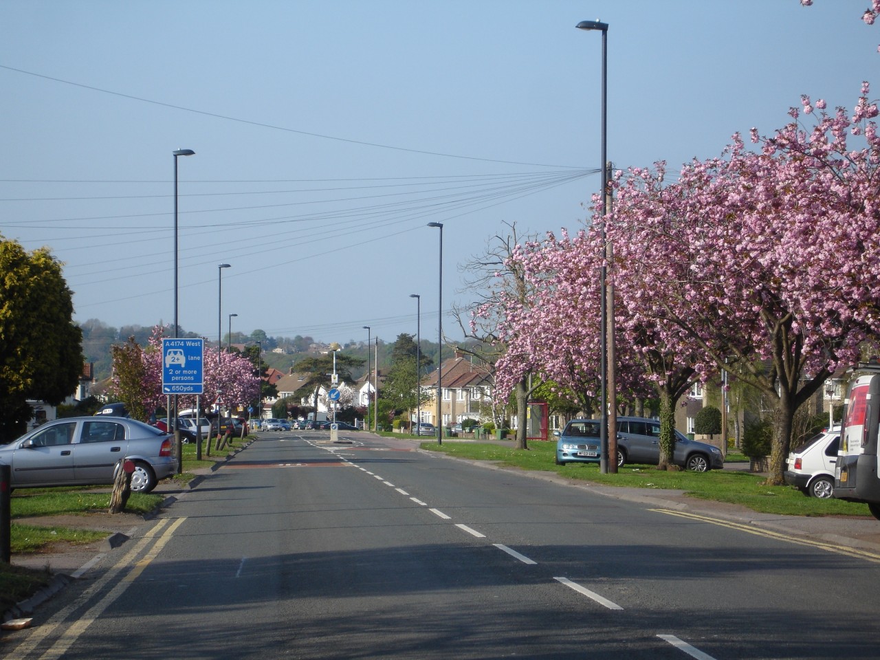 A view looking down Bromley Heath road with the Cherry trees in full Blossom.