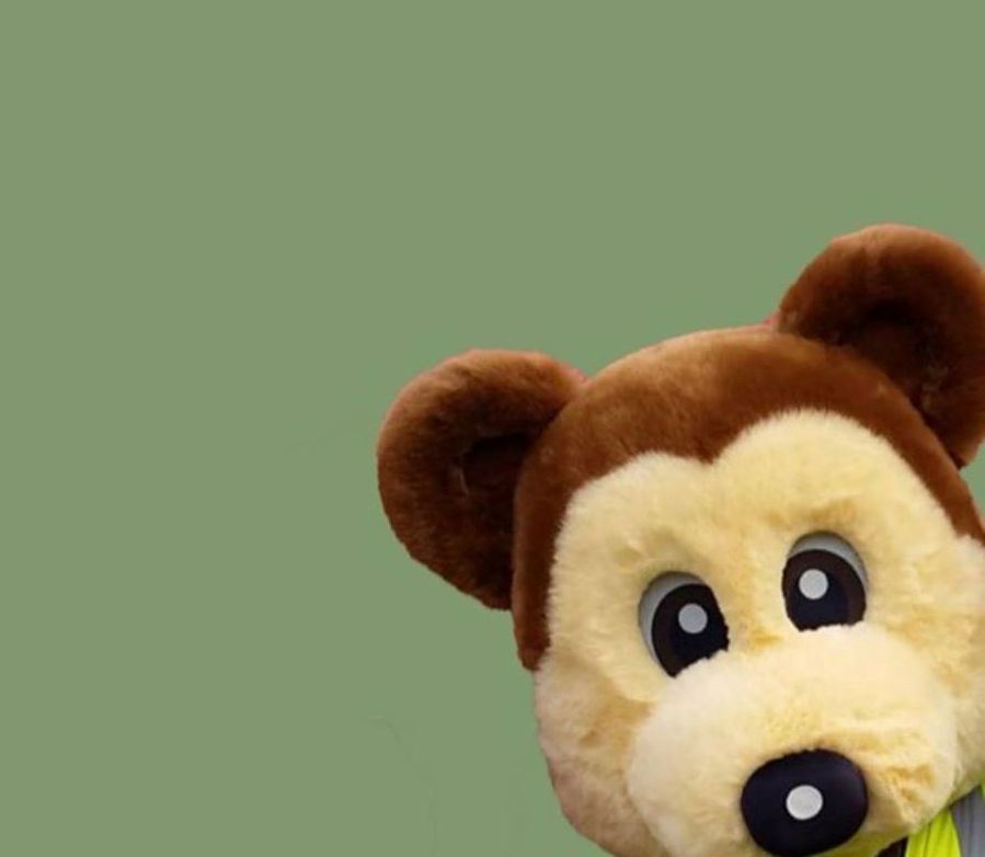 Bromley Bear looking at you
