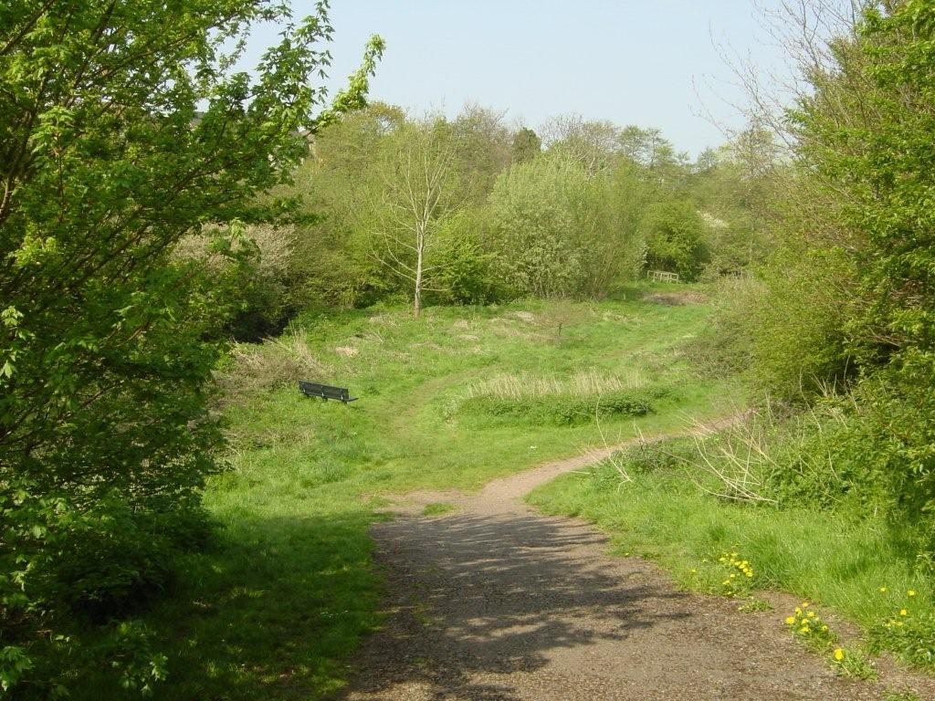 a foot path in one of the open spaces