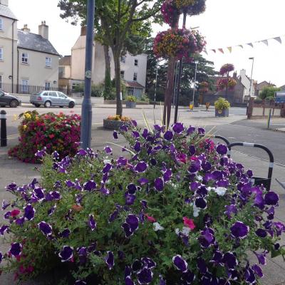  Baskets and Planters