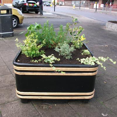 Bulb Planter Outside Michael Nicholas