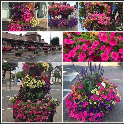 Flowers Summer 2022