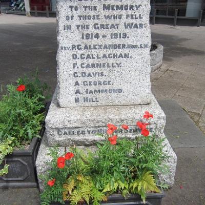 The War Memorial with Wild poppies in planters around the base.